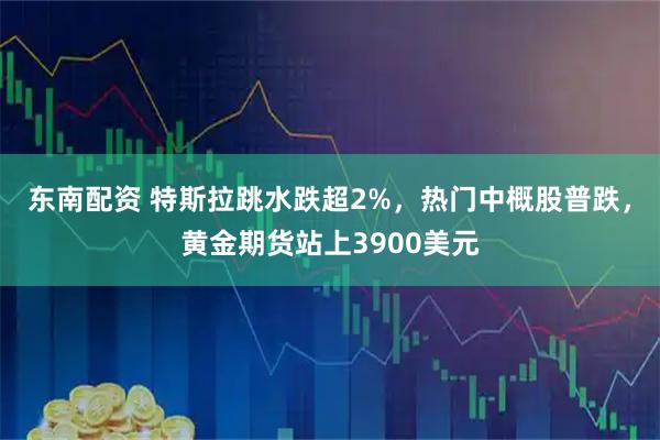 东南配资 特斯拉跳水跌超2%，热门中概股普跌，黄金期货站上3900美元