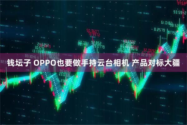 钱坛子 OPPO也要做手持云台相机 产品对标大疆