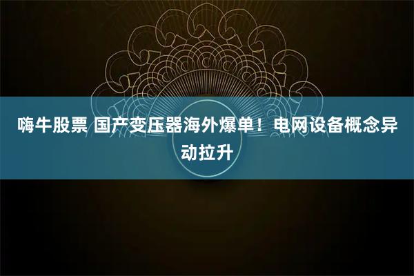 嗨牛股票 国产变压器海外爆单！电网设备概念异动拉升