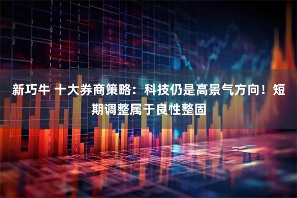 新巧牛 十大券商策略：科技仍是高景气方向！短期调整属于良性整固